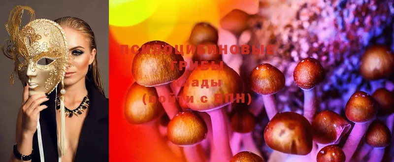 Псилоцибиновые грибы Magic Shrooms Барабинск